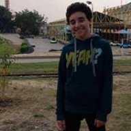 Mohamed El Sayed