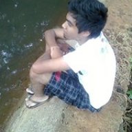 swadesh95