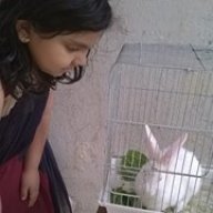 sadia kabir