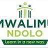 Mwalimu Ndolo