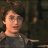Are$ Shan Potter
