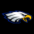 falconsfanatlcom